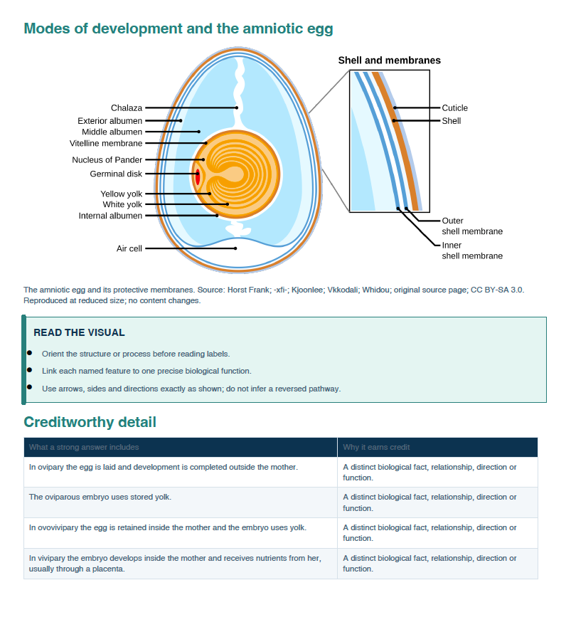 Grade 12 Life Sciences Paper 1 Study Guide